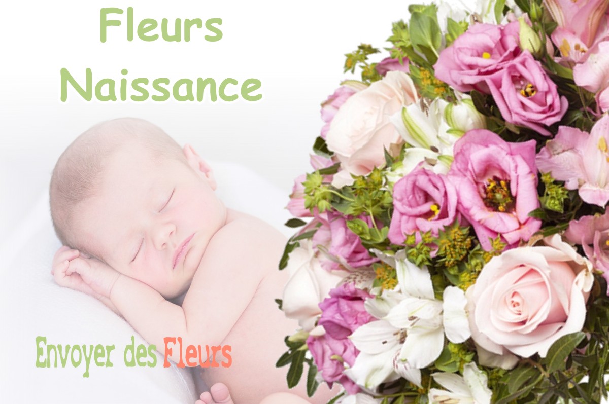 lIVRAISON FLEURS NAISSANCE à DONZACQ